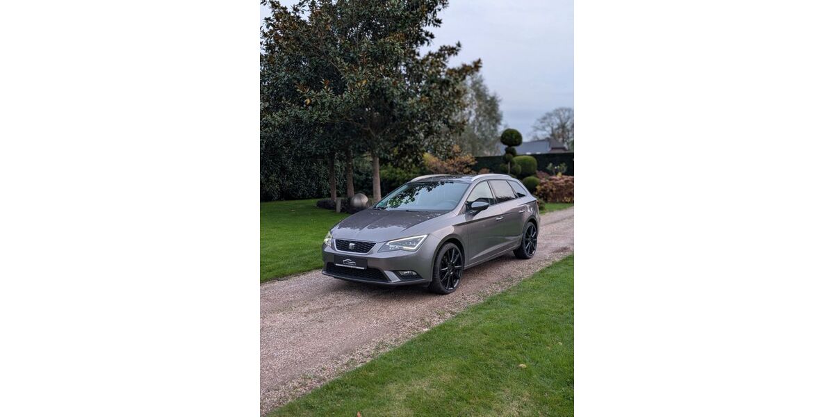 Seat Leon 158.625 km 8.999 &euro; Bocholt 46399