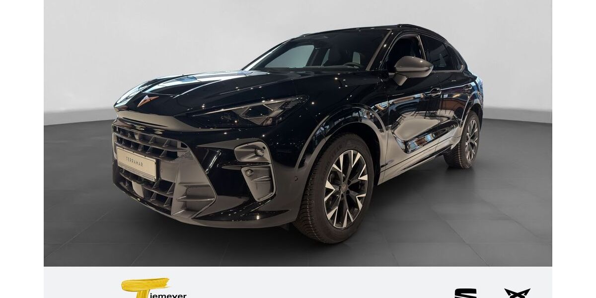 Cupra Terramar 4.999 km 39.690 &euro; Oberhausen 46145