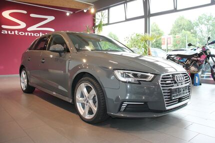 Audi A3 130.899 km 14.500 &euro; Borken 46325