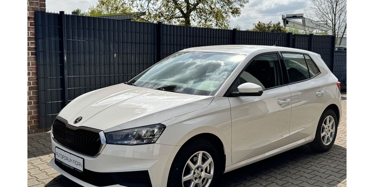 Skoda Fabia 60.000 km 15.900 &euro; Xanten 46509
