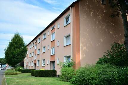 Wohnung Bottrop Batenbrock - 1.5 Zimmer, 40 m&sup2;, 212&euro; | Angebot:26090868