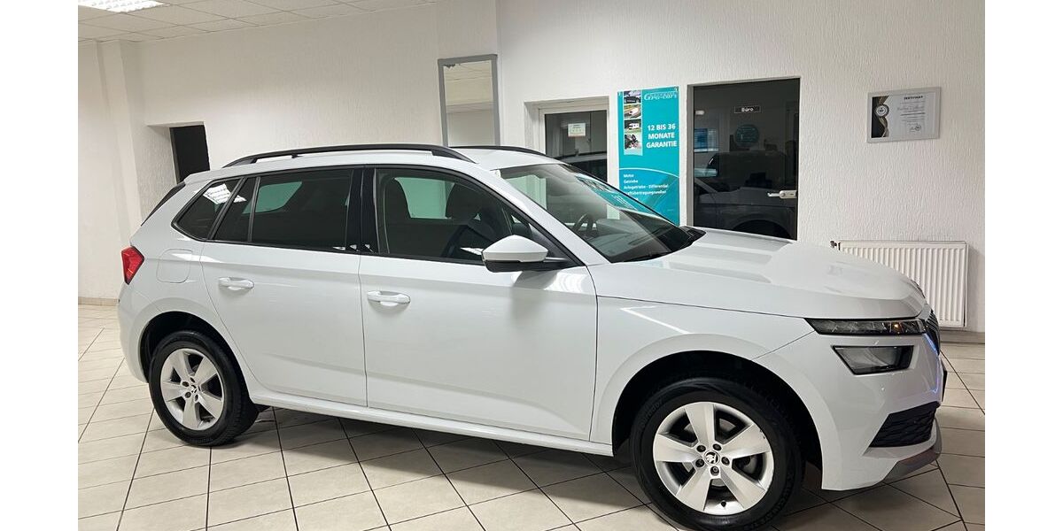 Skoda Kamiq 66.382 km 19.999 &euro; Voerde 46562