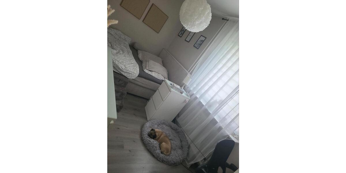 Erdgeschoßwohnung Duisburg Hamborn - 3 Zimmer, 58 m&sup2;, 743&euro; | Angebot:26664035