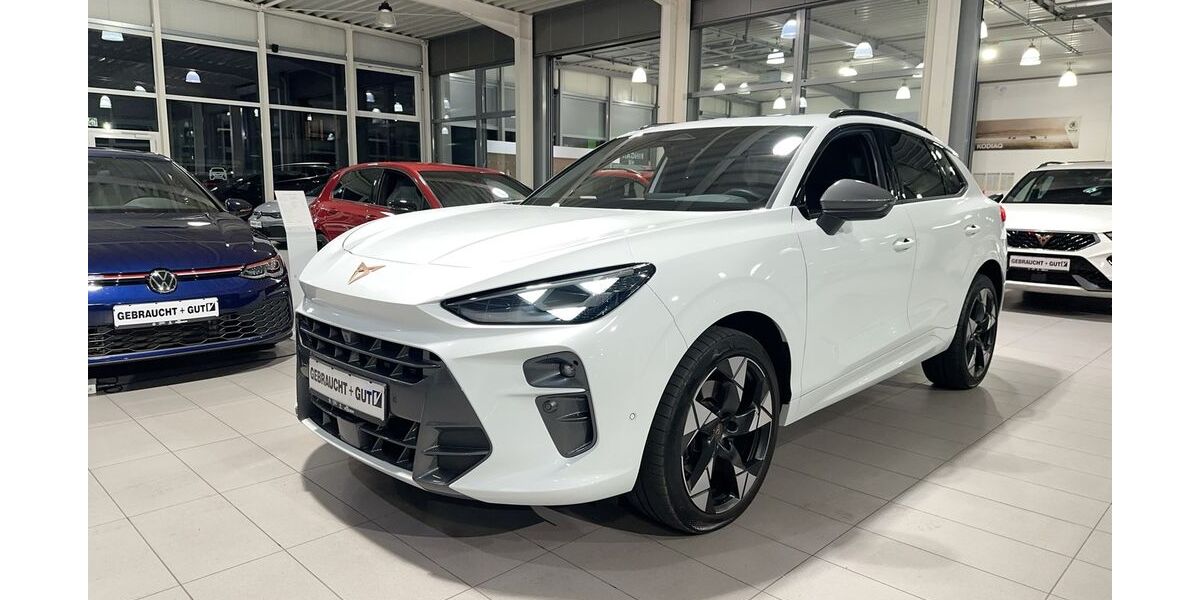 Cupra Terramar 24.190 km 39.790 &euro; Hünxe 46569