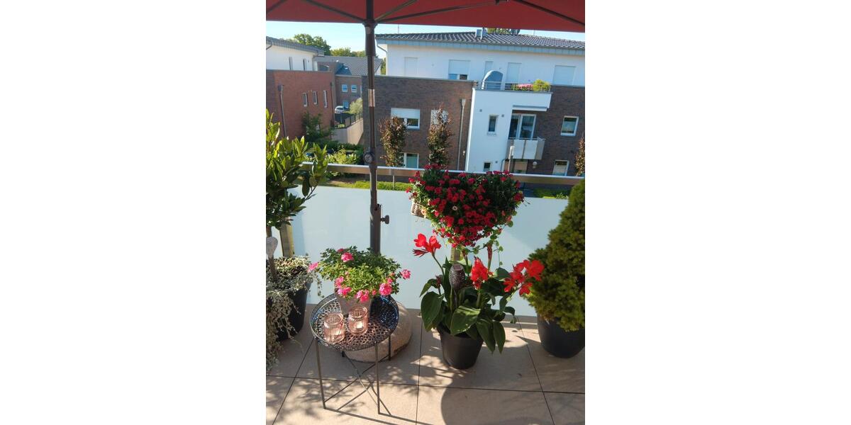 Einfamilienhaus Borken - 2 Zimmer, 55 m&sup2;, 550&euro; | Angebot:25972402