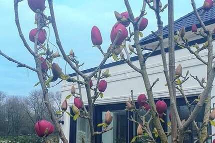 Haus Moers Schwafheim - 6 Zimmer, 267 m&sup2;, 1.750.000&euro; | Angebot:25848909