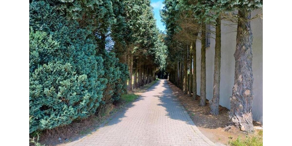 Erdgeschoßwohnung Bottrop Feldhausen - 3 Zimmer, 125 m&sup2;, 1.400&euro; | Angebot:26459544