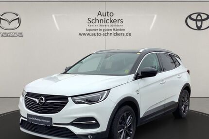 Opel Grandland (X) 77.922 km 12.990 &euro; Xanten 46509