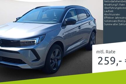 Opel Grandland (X) 14.891 km 21.923 &euro; Borken 46325