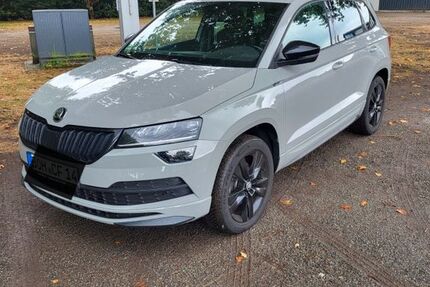 Skoda Karoq 101.100 km 19.699 &euro; Rhede 46414