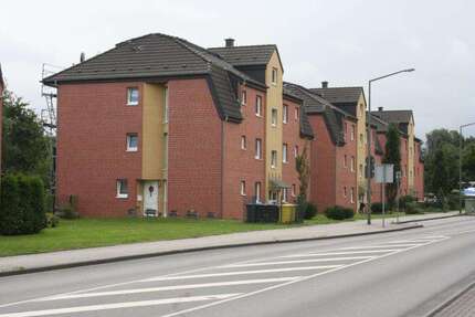 Wohnung Bottrop Boy - 2.5 Zimmer, 38 m&sup2;, 213&euro; | Angebot:26674064