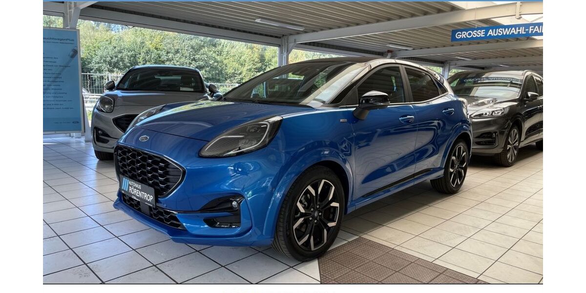 Ford Puma 45.584 km 18.972 &euro; Borken 46325