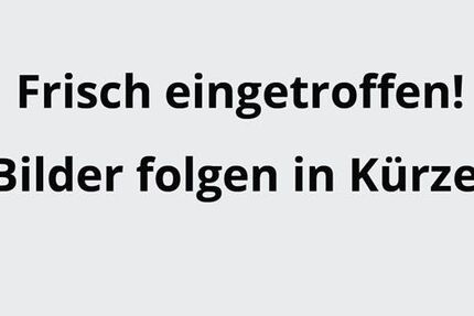 Ford Kuga 40.272 km 24.490 &euro; Dorsten 46282