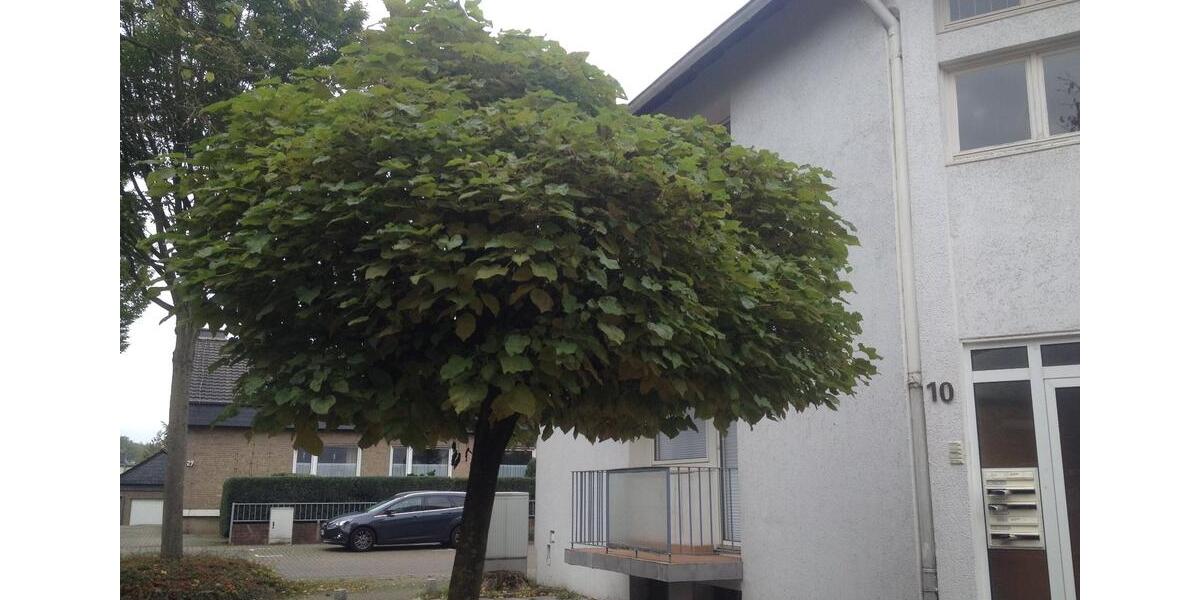 Einfamilienhaus Bocholt Feldmark - 310.000&euro; | Angebot:26480359