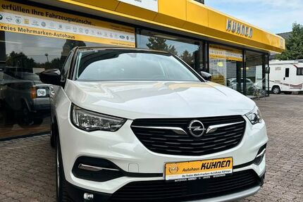 Opel Grandland (X) 59.689 km 14.900 &euro; Uedem 47589