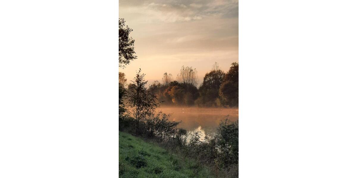 Einfamilienhaus Rees - 2 Zimmer, 50 m&sup2;, 65.000&euro; | Angebot:21144998