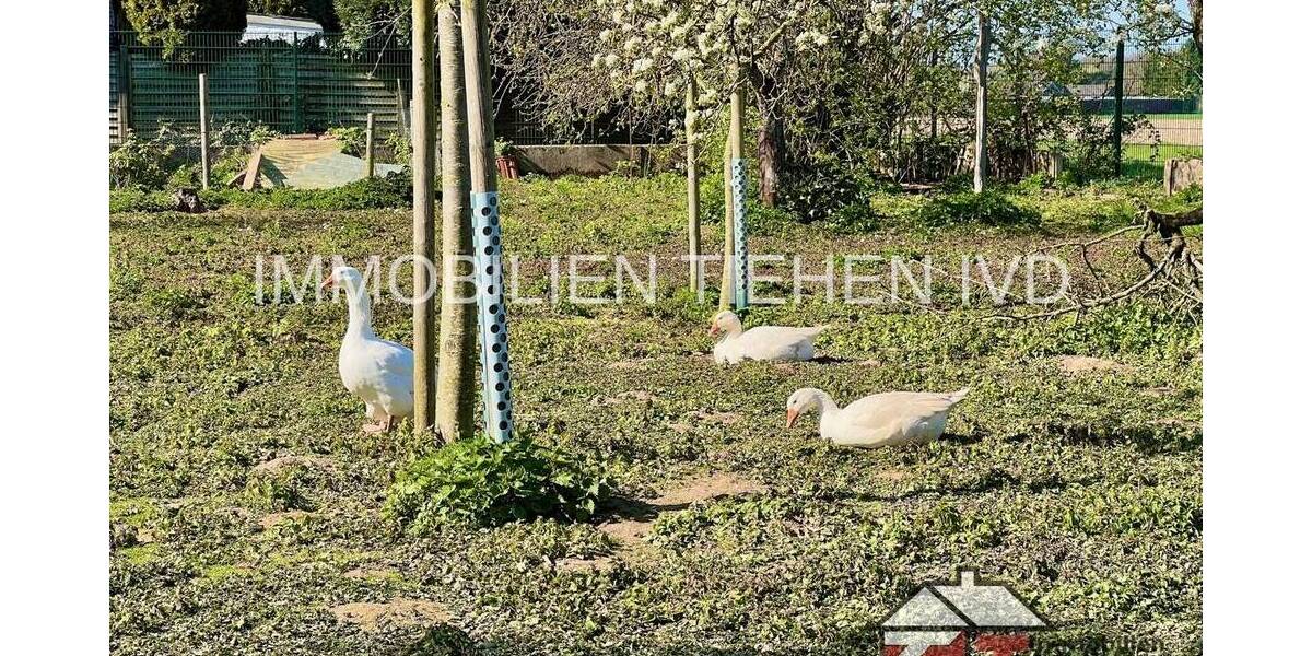 Mehrfamilienhaus, Wohnhaus Kamp-Lintfort Hoerstgen - 7 Zimmer, 166 m&sup2;, 699.000&euro; | Angebot:26119190