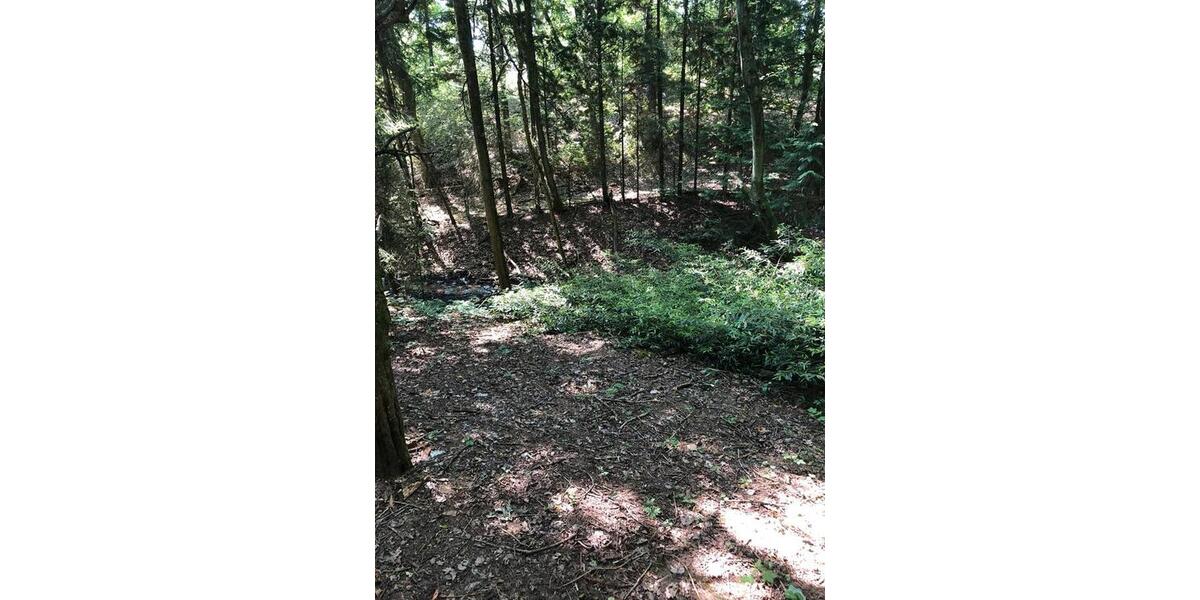 Grundstück Borken - 8.500&euro; | Angebot:24655911