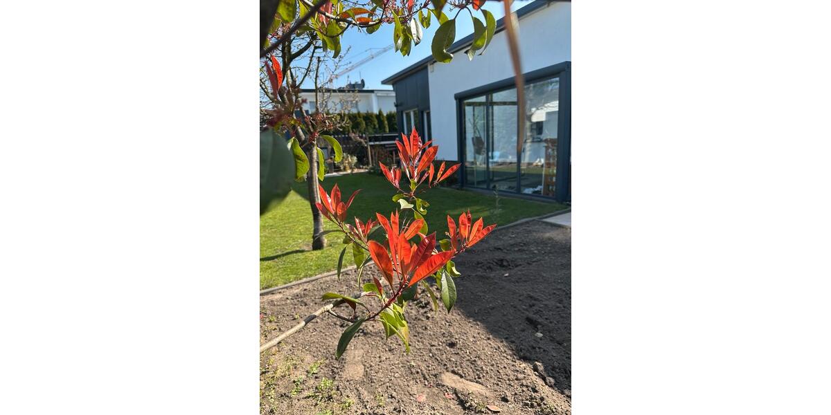 Bungalow Duisburg Hochheide - 3 Zimmer, 106 m&sup2;, 1.900&euro; | Angebot:25396682