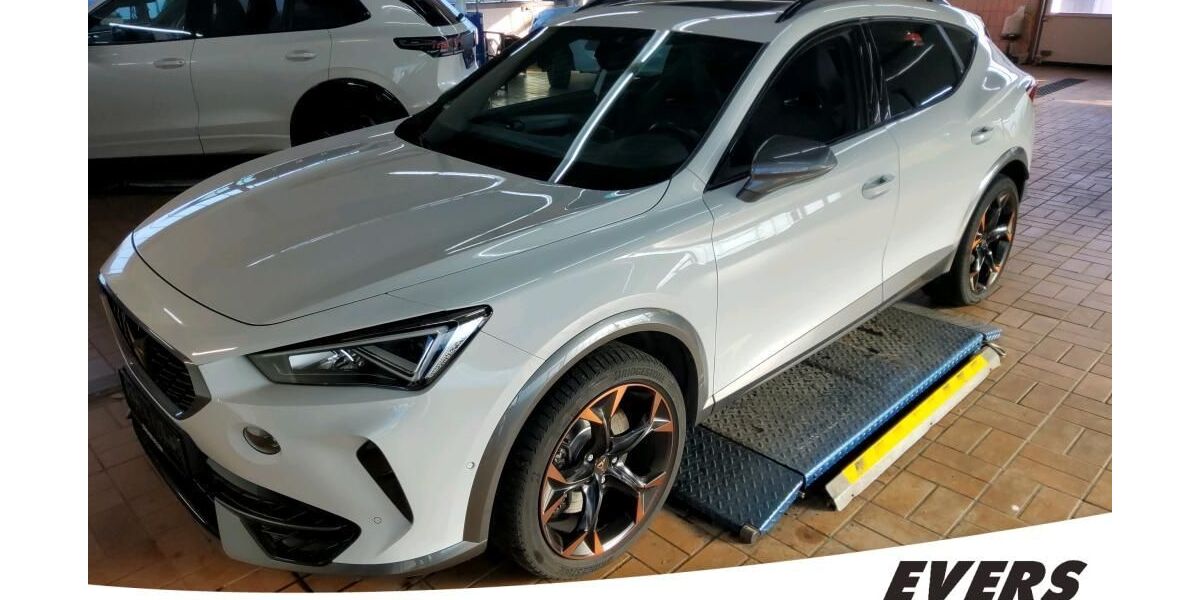 Cupra Formentor 79.279 km 27.330 &euro; Wesel 46485