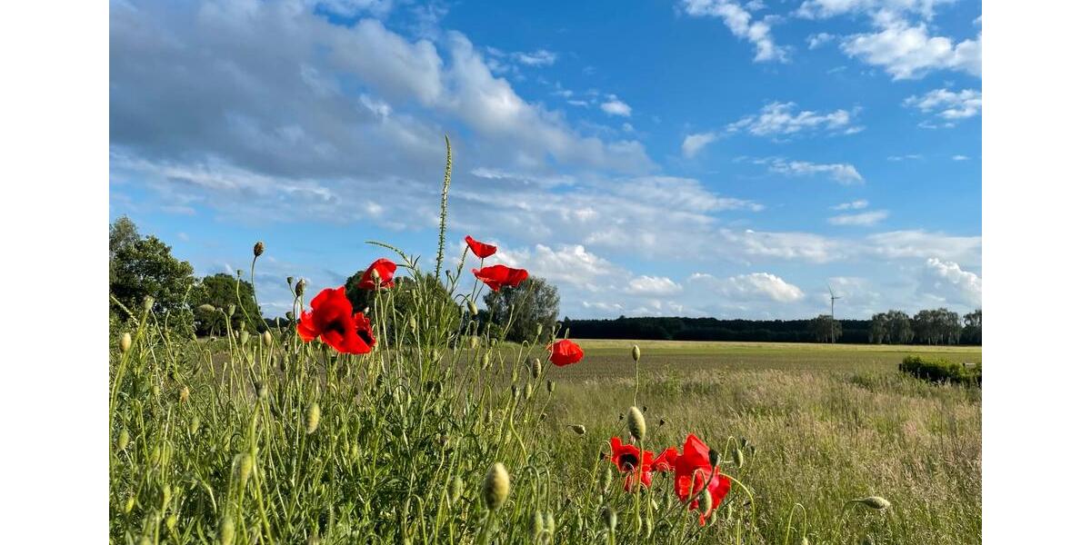 Dachgeschoßwohnung Heiden - 3 Zimmer, 106 m&sup2;, 1.325&euro; | Angebot:25145500