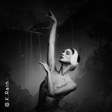 Grand Classic Ballet - Schwanensee - Jenseits der Bühne mit live Streichquartett 05.09.2026 Stadthalle Kamp-Lintfort