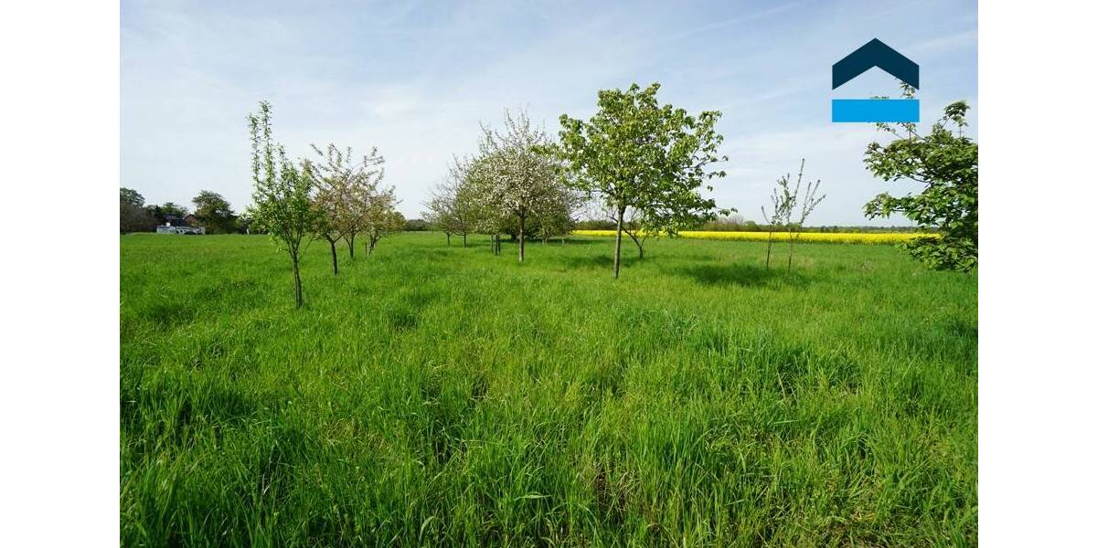 Einfamilienhaus Kamp-Lintfort Hoerstgen - 8 Zimmer, 360 m&sup2;, 790.000&euro; | Angebot:25701928