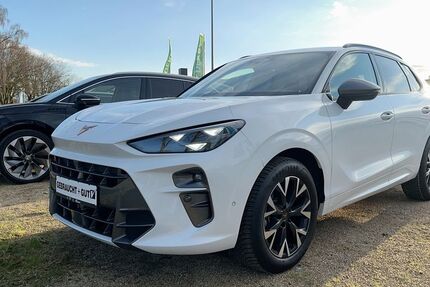 Cupra Terramar 28.120 km 31.650 &euro; Hünxe 46569