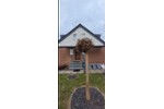 Doppelhaushälfte Dinslaken Lohberg - 4 Zimmer, 120 m&sup2;, 374.000&euro; | Angebot:27208963