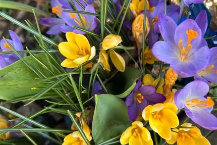 Gewerbeobjekt Duisburg Ruhrort - 1.500&euro; | Angebot:26029127