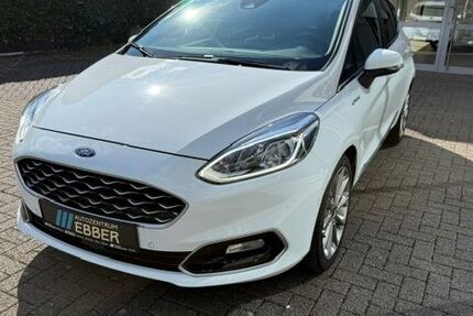 Ford Fiesta 66.500 km 12.978 &euro; Borken 46325
