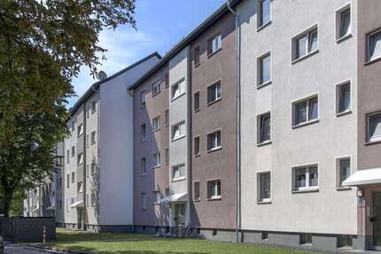 Wohnung Gladbeck Brauck - 3.5 Zimmer, 66 m&sup2;, 519&euro; | Angebot:26865038