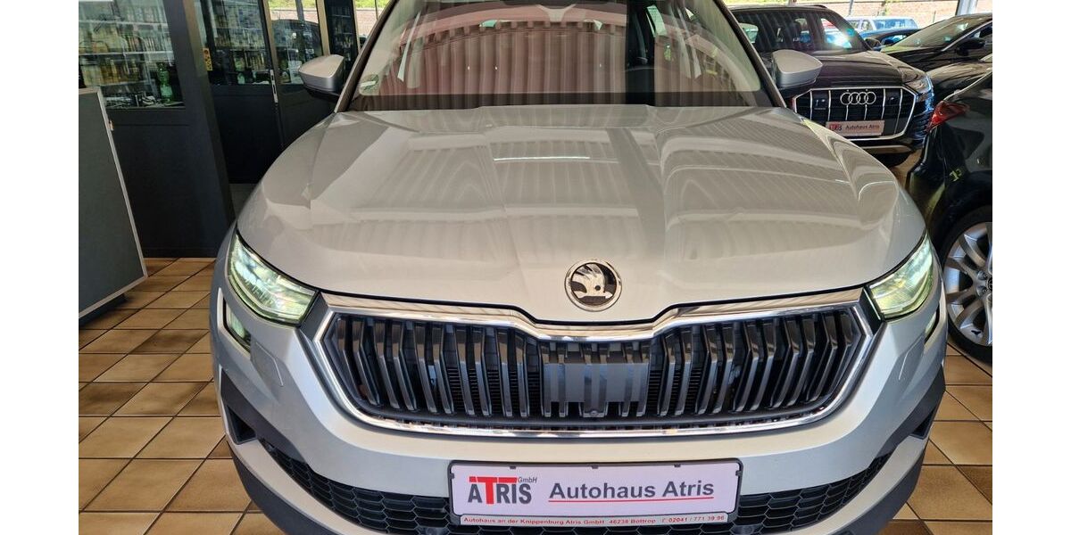 Skoda Kodiaq 194.000 km 22.000 &euro; Bottrop 46238