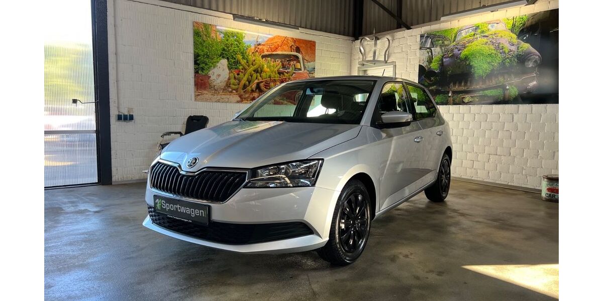 Skoda Fabia 98.714 km 7.999 &euro; Wesel 46487