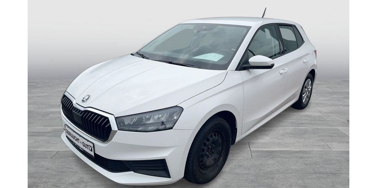 Skoda Fabia 96.019 km 11.790 &euro; Duisburg 47178