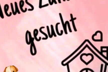 Wohnung Borken - 3 Zimmer, 85 m&sup2;, 1.300&euro; | Angebot:24787039