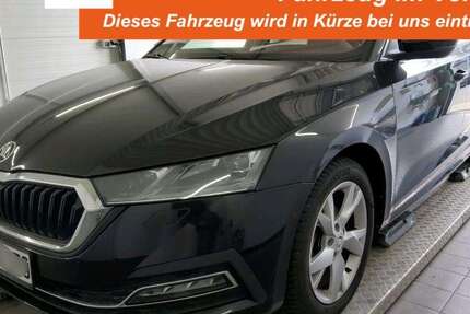 Skoda Octavia 37.458 km 24.930 &euro; Borken 46325