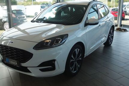 Ford Kuga 17.500 km 35.972 &euro; Rees 46459