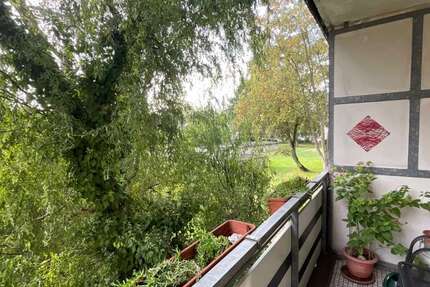 Wohnung Duisburg Hamborn - 3 Zimmer, 60 m&sup2;, 495&euro; | Angebot:27363204