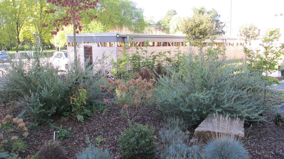 Terrassenwohnung Bottrop - 1 Zimmer, 37 m&sup2;, 480&euro; | Angebot:25962510