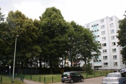 Wohnung Duisburg Essenberg - 2.5 Zimmer, 48 m&sup2;, 750&euro; | Angebot:27619486