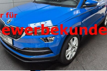 Skoda Karoq 123.950 km 13.650 &euro; Raesfeld 46348