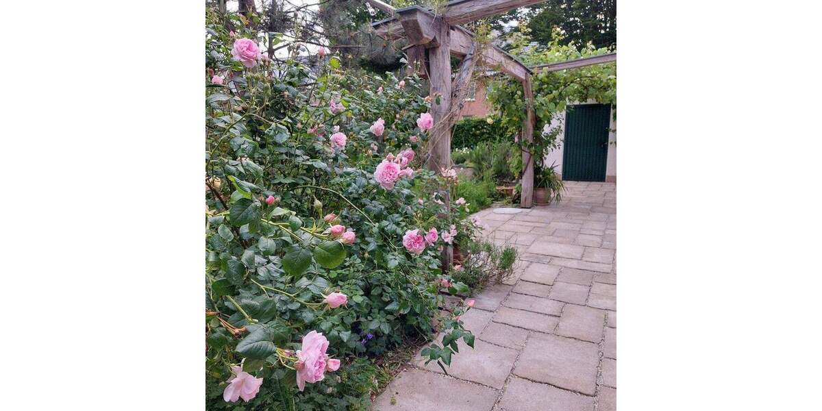 Einfamilienhaus Kevelaer Winnekendonk - 6 Zimmer, 167 m&sup2;, 695.000&euro; | Angebot:25909536