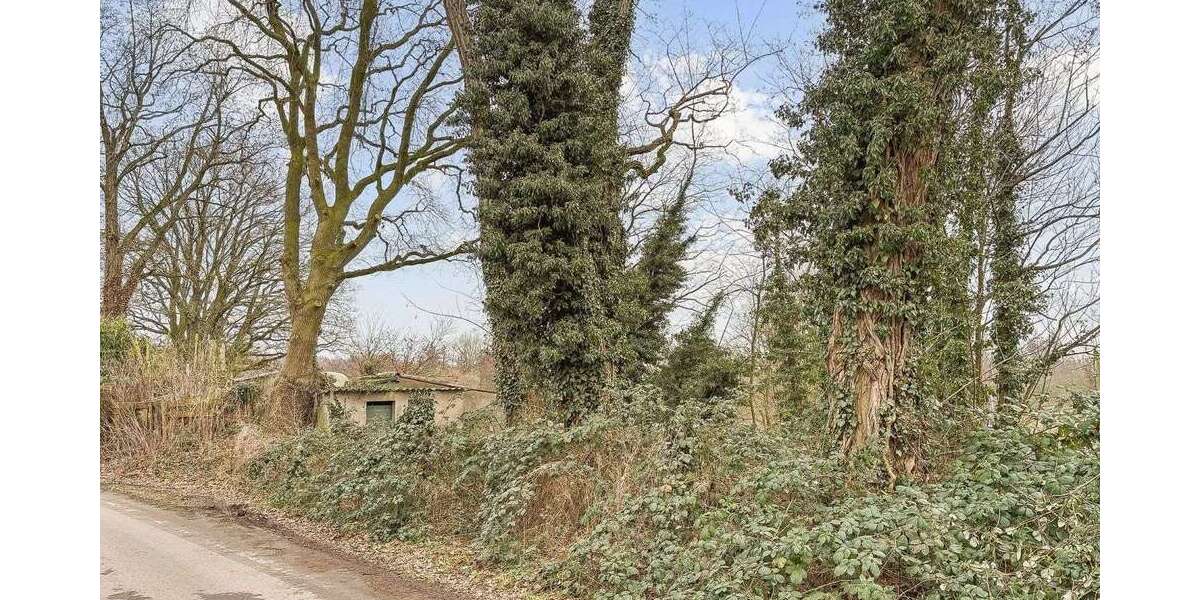 Grundstück Hamminkeln - 89.000&euro; | Angebot:25349564