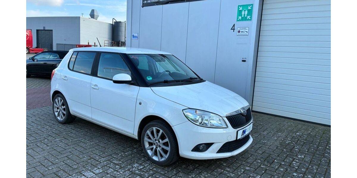 Skoda Fabia 191.254 km 5.590 &euro; Rhede 46414