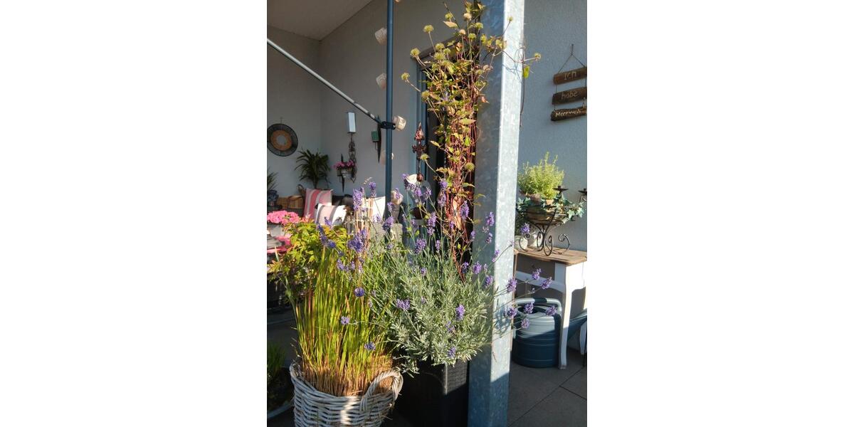 Einfamilienhaus Borken - 2 Zimmer, 55 m&sup2;, 550&euro; | Angebot:25972402