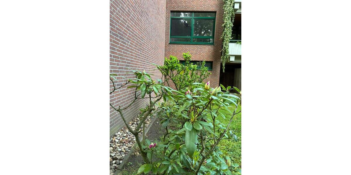 Etagenwohnung Bocholt Feldmark - 4 Zimmer, 95 m&sup2;, 279.000&euro; | Angebot:26625862