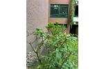 Etagenwohnung Bocholt Feldmark - 4 Zimmer, 95 m&sup2;, 279.000&euro; | Angebot:26625862