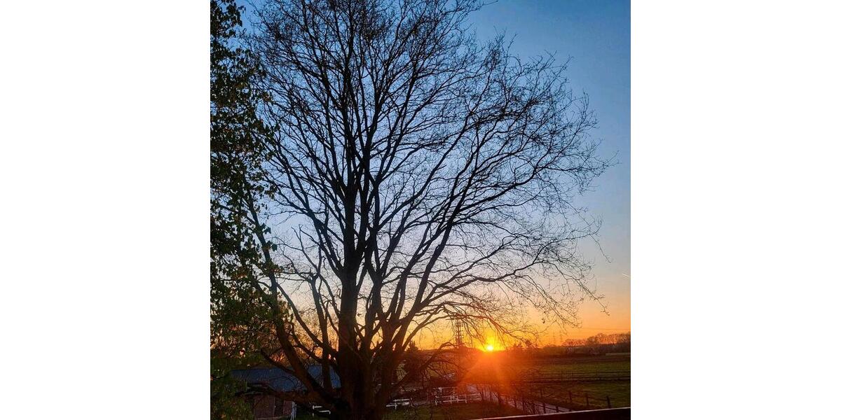 Terrassenwohnung Wesel Fusternberg - 5 Zimmer, 135 m&sup2;, 329.000&euro; | Angebot:26088737