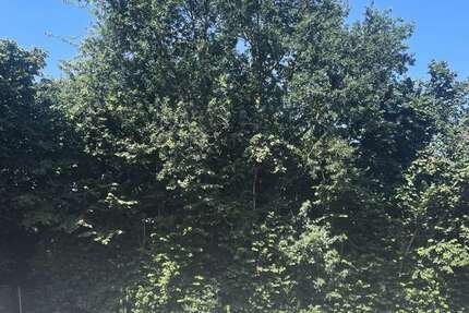 Grundstück Voerde - 120.000&euro; | Angebot:21507363